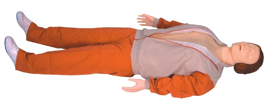 ߼Զķθģ