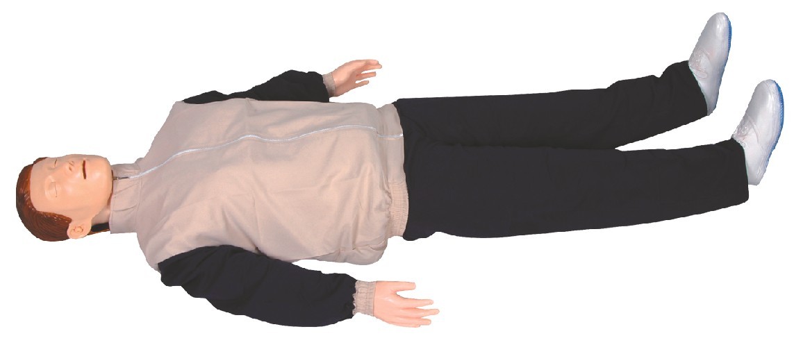 ߼Զķθģ