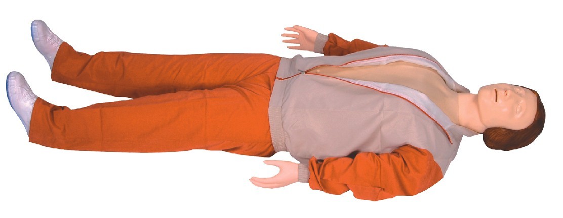 ĻҺȫԶķθģ